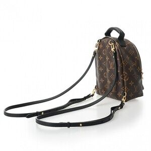 Louis Vuitton Springs Canvas Monogram Palm Brown Daypack Backpack